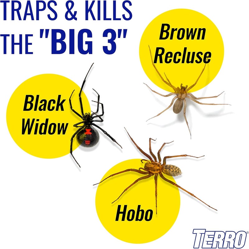 Terro Spider & Insect Trap T3206-10 - Pack of 10 Insect Traps - Image 3